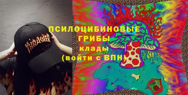 кокс Алексин