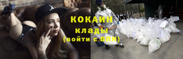 кокс Алексин