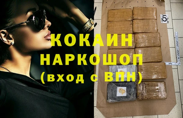 кокс Алексин