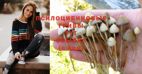 мескалин Алексеевка