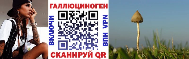 Псилоцибиновые грибы мухоморы Любань