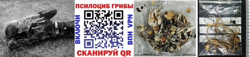 Псилоцибиновые грибы MAGIC MUSHROOMS  МЕГА зеркало  Любань 